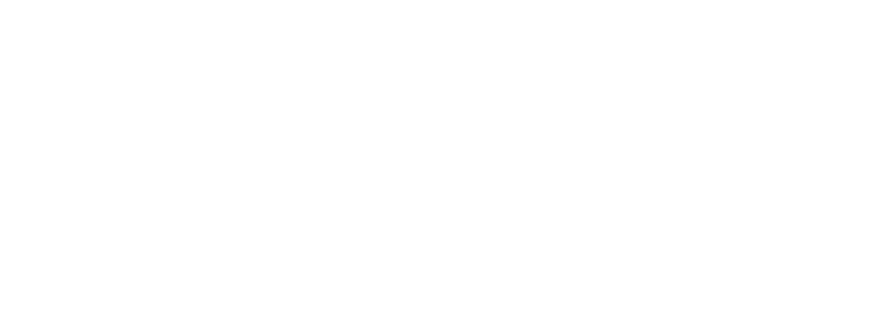 The Pro Trainer